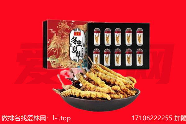 乌鲁木齐水磨沟回收虫草.jpg